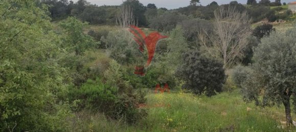  قطعة أرض في Santarem, Portugal 19920متر مربع رقم 76122 8