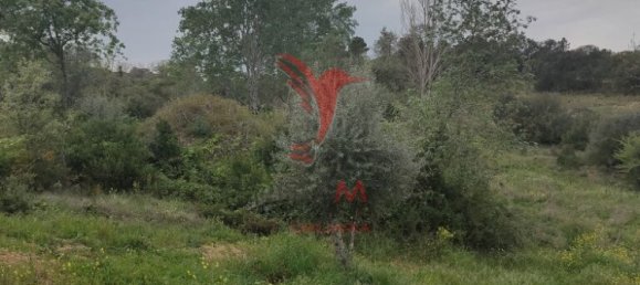  قطعة أرض في Santarem, Portugal 19920متر مربع رقم 76122 13