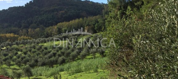 9-Zimmer Haus in Chianni, Italy, Nr. 229403 31