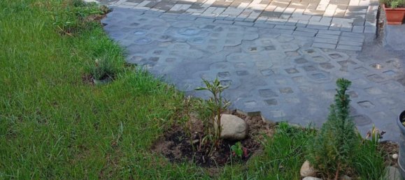 Дом с 3 спальнями в Передняя Померания-Грайфсвальд, Германия № 364853 7