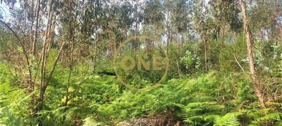 Terreno em Vila Nova de Famalicão, Portugal 78300 m² N.º 35315 5