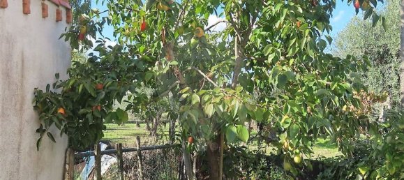 3 غرف نوم منزل في Fundao, Portugal رقم 173064 4