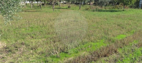 3 غرف نوم منزل في Fundao, Portugal رقم 173064 5