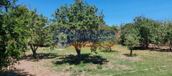 3000m² Land in Sassari, Italy No. 46560 4