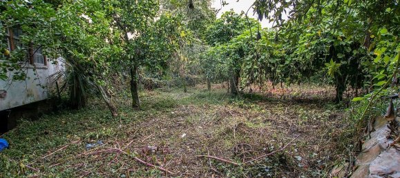 3 Schlafzimmer Haus in Tondela, Portugal, Nr. 24443 13