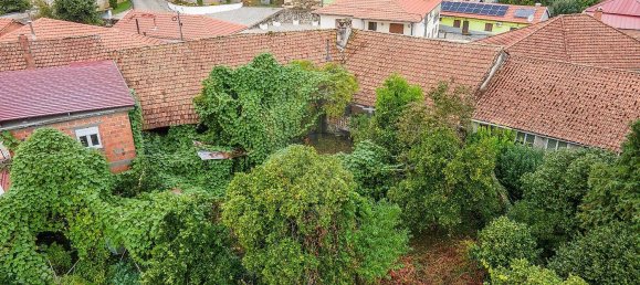 3 Schlafzimmer Haus in Tondela, Portugal, Nr. 24443 5