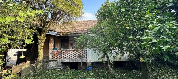 3 Schlafzimmer Haus in Tondela, Portugal, Nr. 24443 10