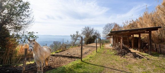 5 bedrooms House in Loro Ciuffenna, Italy No. 54313 31