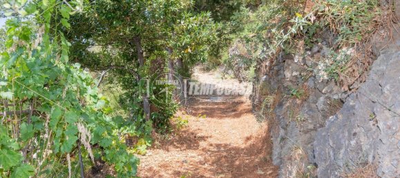 Terreno em Messina, Italy 59 m² N.º 261505 26