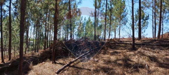 Terrain à Ourem, Portugal 5000m² No. 73944 8