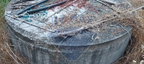 Terrain à Ourem, Portugal 5000m² No. 73944 2