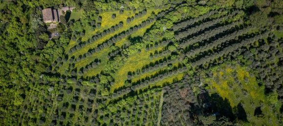 4 bedrooms House in Florence, Italy No. 238027 6