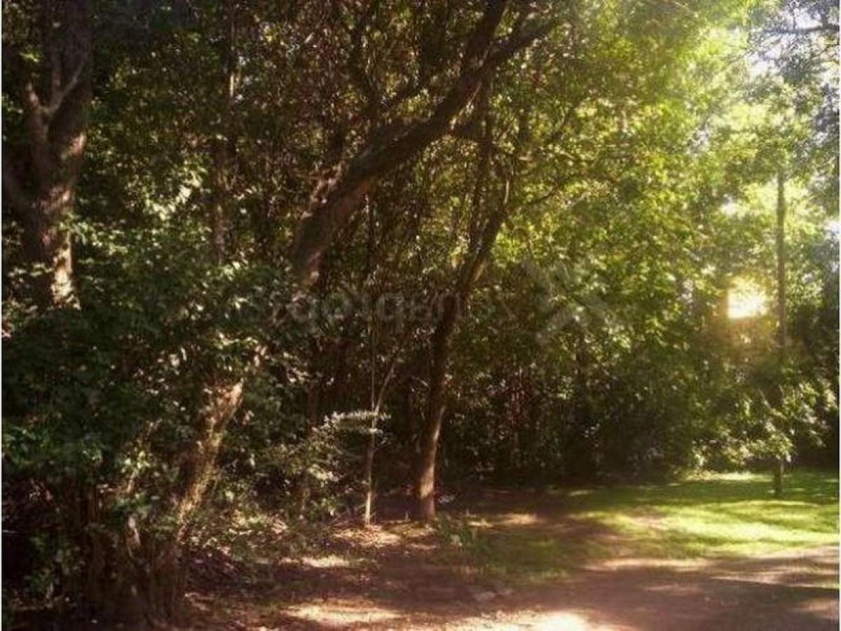  Land in Ituzaingo, Argentina No. 44003