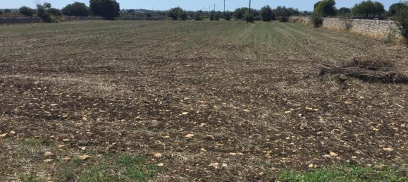 4-Zimmer Haus in Modica, Italy, Nr. 236006 13