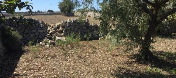 4-Zimmer Haus in Modica, Italy, Nr. 236006 16