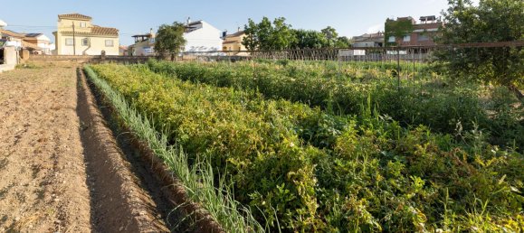 Terreno en La Zubia, Spain 1060 m² No. 156448 18