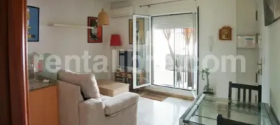 1 bedroom Penthouse in Jerez de la Frontera, Spain No. 166872 14