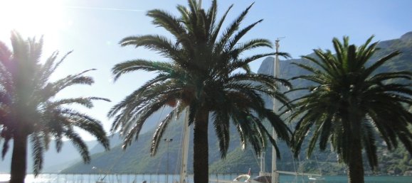 11 bedrooms Villa in Kotor, Montenegro No. 401 20