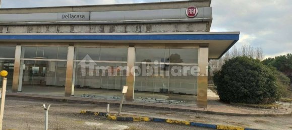 5-salle Propriété commerciale à Trino, Italy No. 158508 9