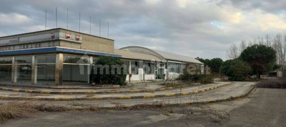 5-salle Propriété commerciale à Trino, Italy No. 158508 10
