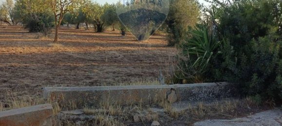 2 rooms Villa in Caltagirone, Italy No. 278345 12