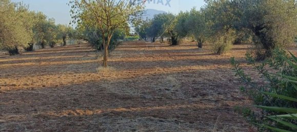 2 rooms Villa in Caltagirone, Italy No. 278345 17