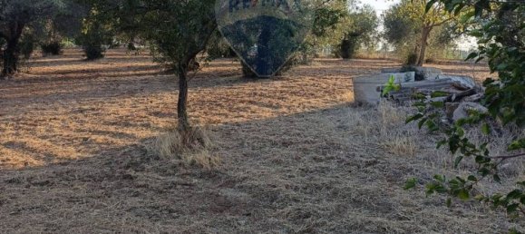 2 rooms Villa in Caltagirone, Italy No. 278345 13