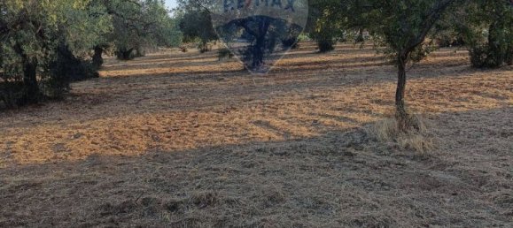 2 rooms Villa in Caltagirone, Italy No. 278345 15