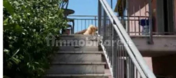 4 chambres Penthouse à Carrara, Italy No. 47600 11