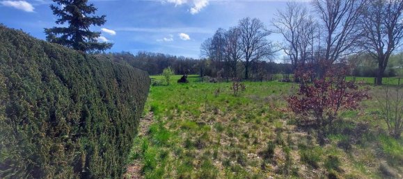  Land in Oberhavel, Germany No. 370820 3