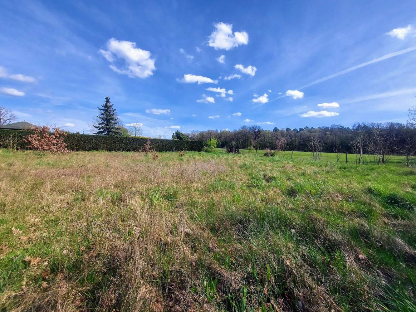  Land in Oberhavel, Germany No. 370820