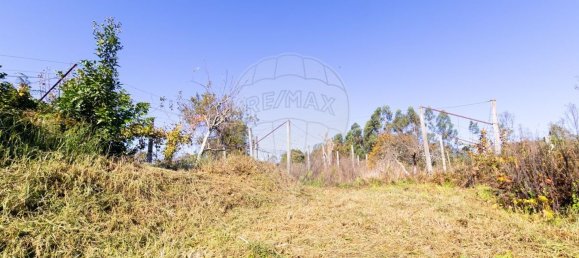 3 Schlafzimmer Haus in Barreiros, Portugal, Nr. 240472 2