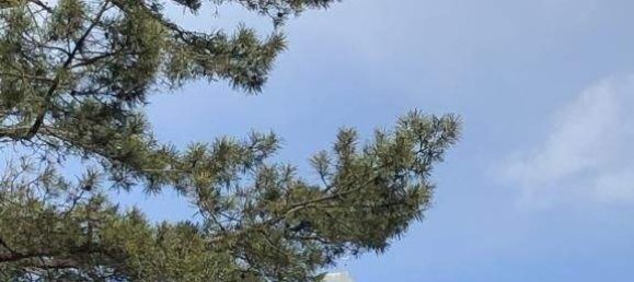 Studio in Klöch, Austria, Nr. 136949 12