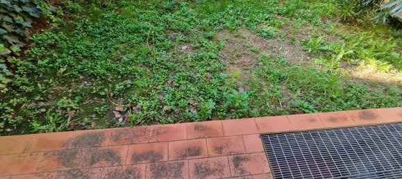 3 rooms Apartment in Radicondoli, Italy No. 171058 11