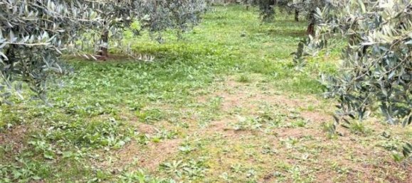 Grundstück in Valbrenta, Italy 1500m², Nr. 107332 4