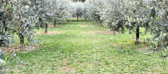 Grundstück in Valbrenta, Italy 1500m², Nr. 107332 2