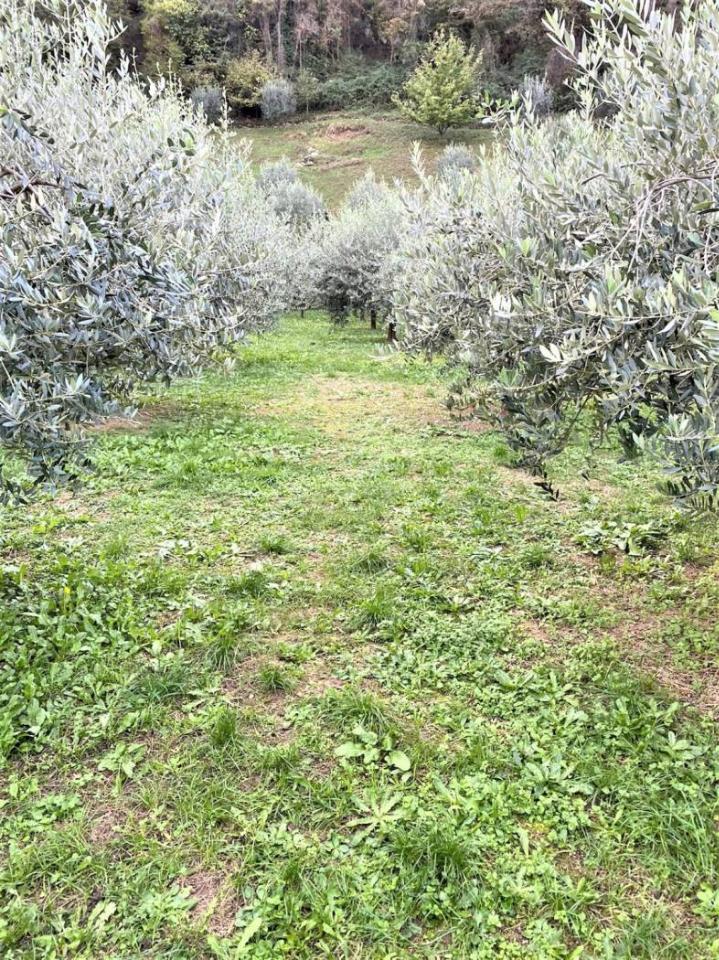 Grundstück in Valbrenta, Italy 1500m², Nr. 107332