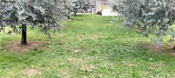 Grundstück in Valbrenta, Italy 1500m², Nr. 107332 3