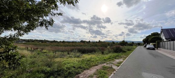  Land in Bad Durkheim, Germany No. 218911 2