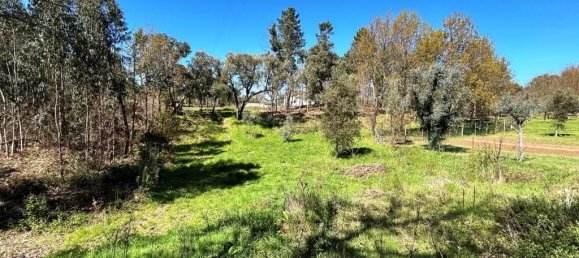 Grundstück in Pedrogao Grande, Portugal, Nr. 190258 9