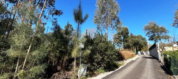 Grundstück in Pedrogao Grande, Portugal, Nr. 190258 13