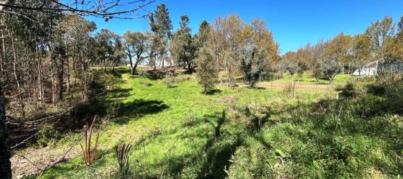 Grundstück in Pedrogao Grande, Portugal, Nr. 190258 8