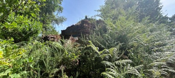 Grundstück in Pedrogao Grande, Portugal, Nr. 190258 6