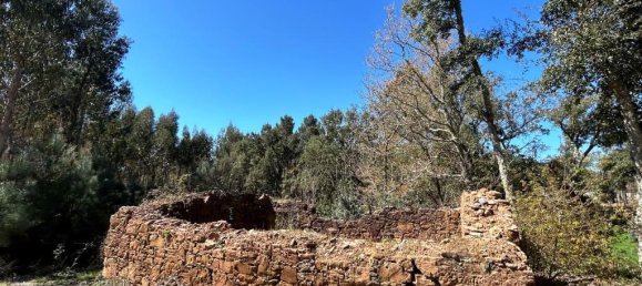 Grundstück in Pedrogao Grande, Portugal, Nr. 190258 3