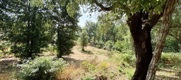 Grundstück in Pedrogao Grande, Portugal, Nr. 190258 10