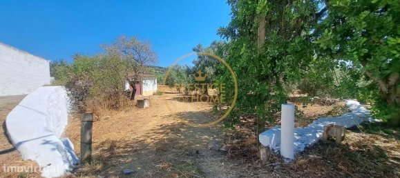 2 bedrooms Villa in Loule, Portugal No. 260120 6