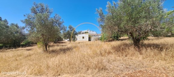 2 bedrooms Villa in Loule, Portugal No. 260120 15