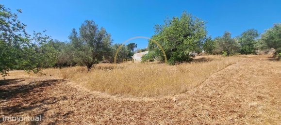 2 bedrooms Villa in Loule, Portugal No. 260120 17