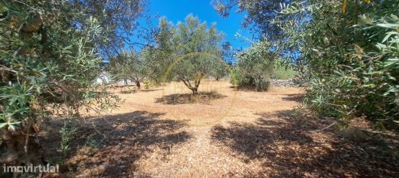 2 bedrooms Villa in Loule, Portugal No. 260120 50