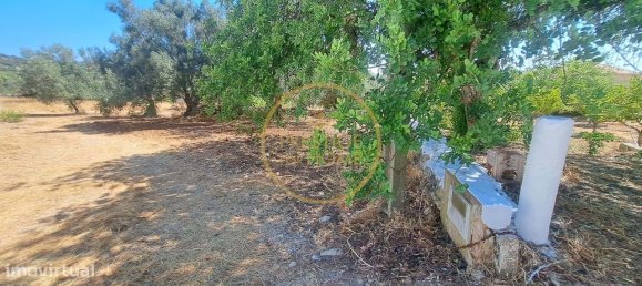 2 bedrooms Villa in Loule, Portugal No. 260120 9